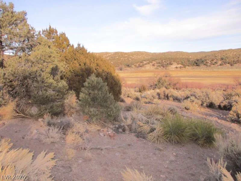 NV Hwy 322 (9.86 Ac), Pioche, NV 89043