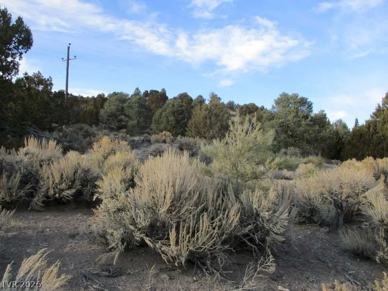 NV Hwy 322 (9.86 Ac), Pioche, NV 89043