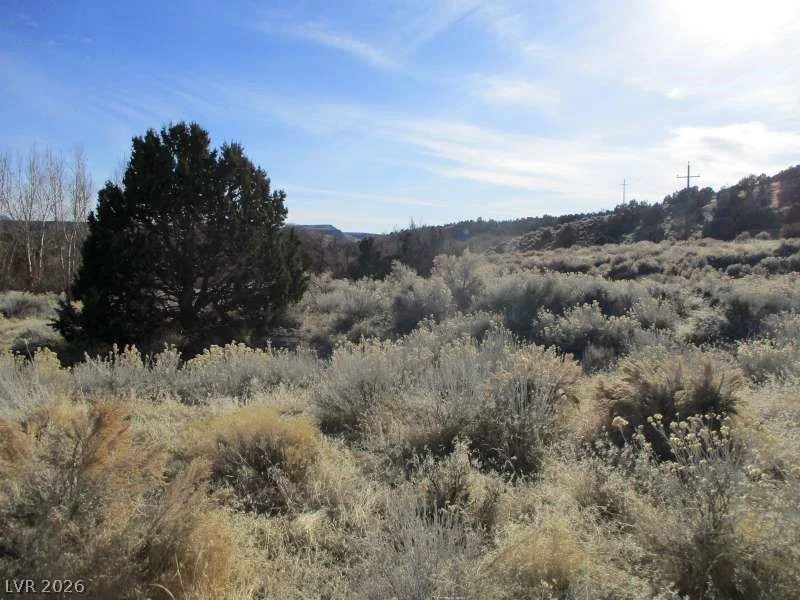 NV Hwy 322 (2.19 Ac), Pioche, NV 89043