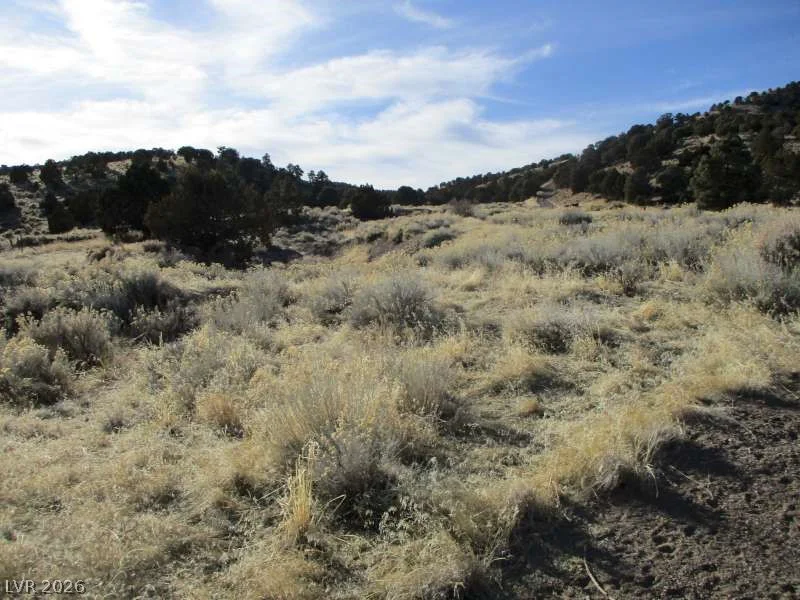 NV Hwy 322 (2.19 Ac), Pioche, NV 89043
