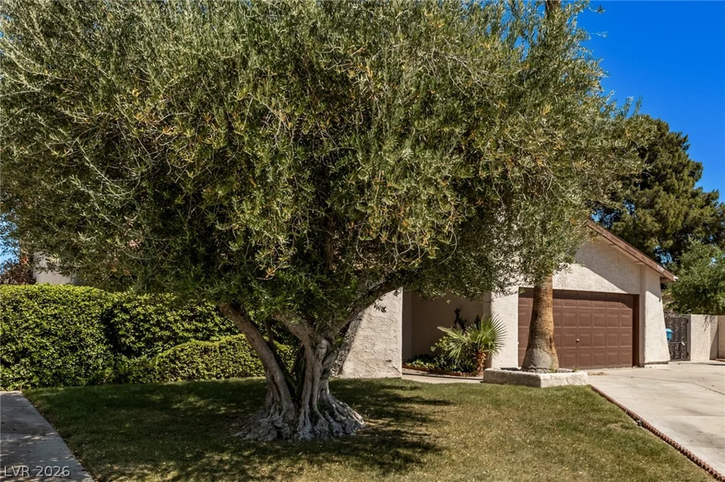 3709 Pamplona, Las Vegas, NV 89103