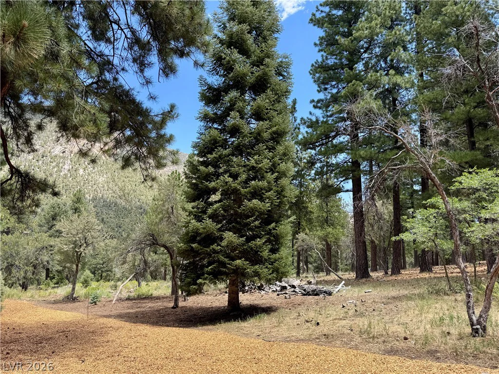 240 Alpine Crest, Mount Charleston, NV 89124