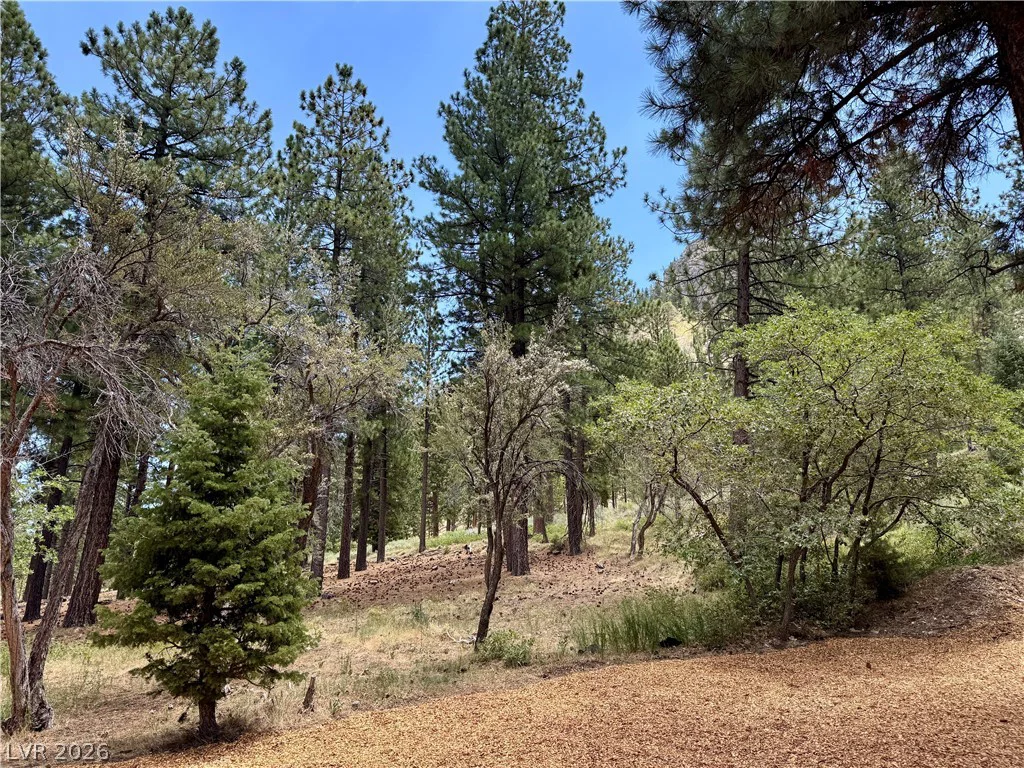 240 Alpine Crest, Mount Charleston, NV 89124