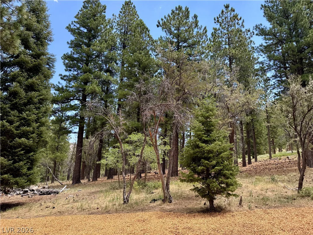 240 Alpine Crest, Mount Charleston, NV 89124