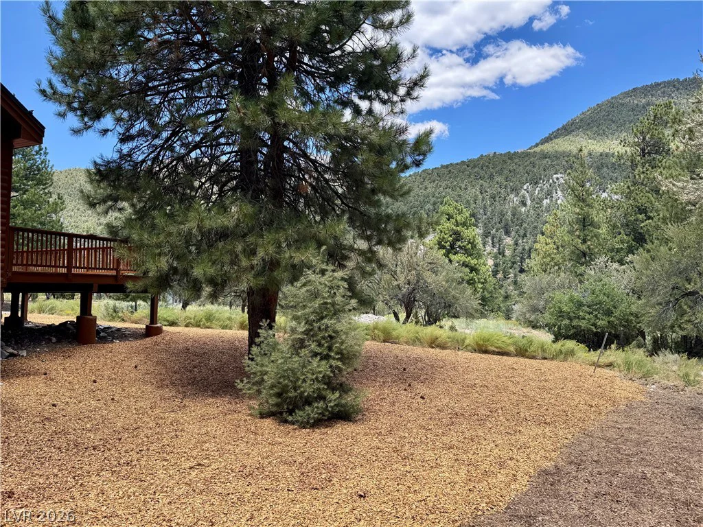 240 Alpine Crest, Mount Charleston, NV 89124