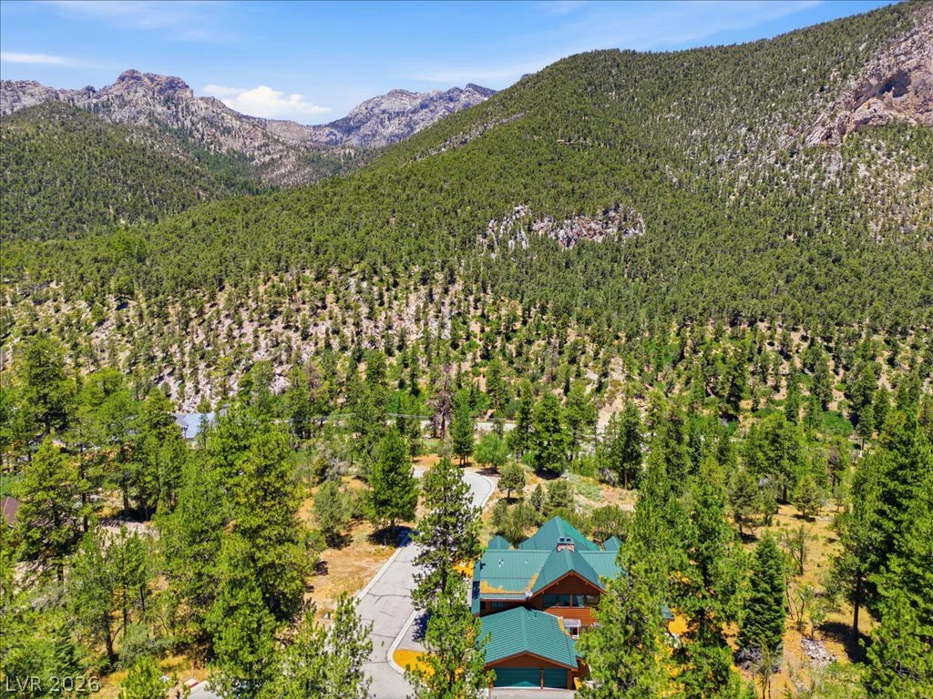 240 Alpine Crest, Mount Charleston, NV 89124