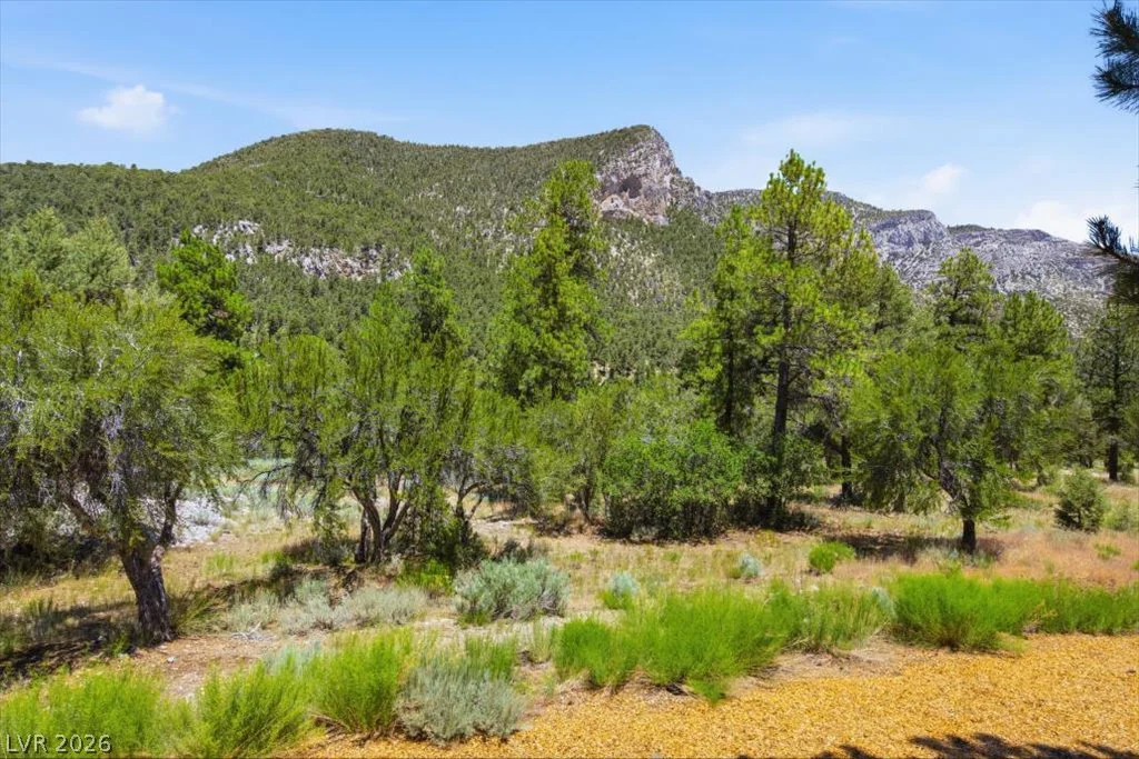 240 Alpine Crest, Mount Charleston, NV 89124