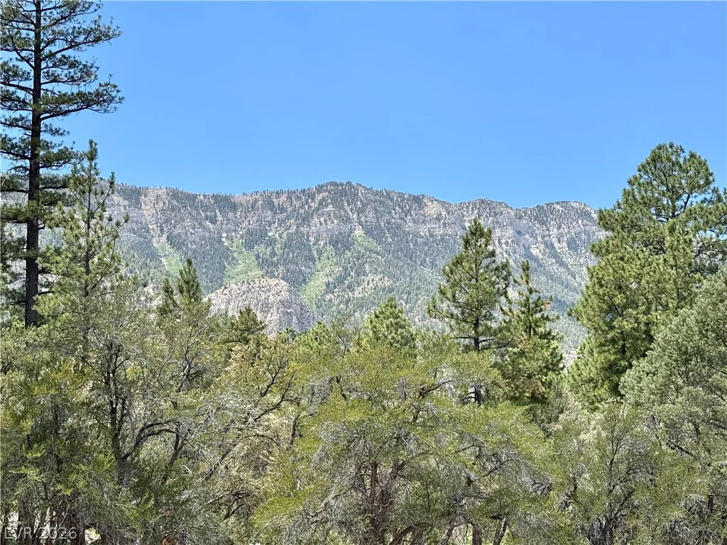 240 Alpine Crest, Mount Charleston, NV 89124