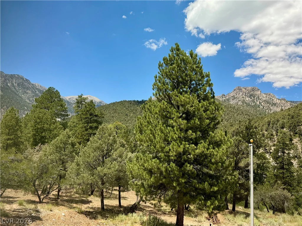 240 Alpine Crest, Mount Charleston, NV 89124