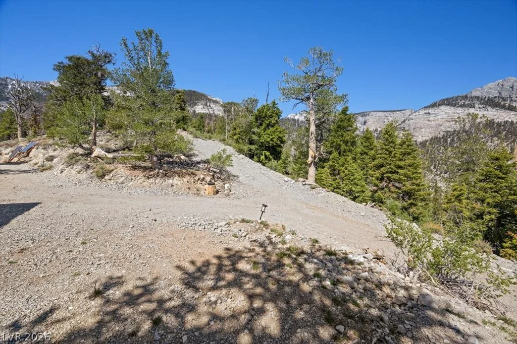 APN 128-07-301-035 Cougar Ridge, Mount Charleston, NV 89124