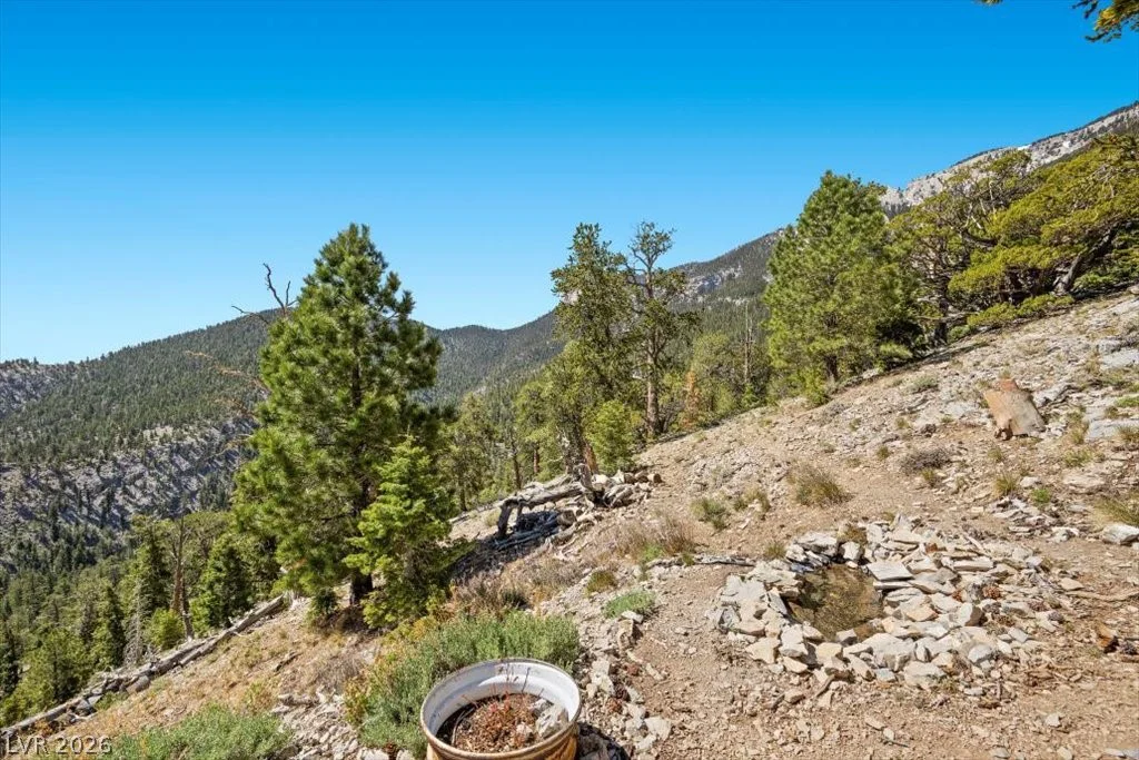 APN 128-07-301-035 Cougar Ridge, Mount Charleston, NV 89124