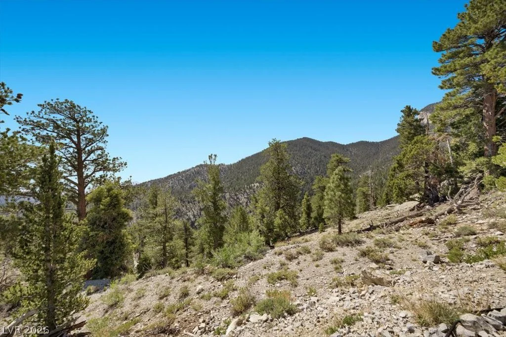 APN 128-07-301-035 Cougar Ridge, Mount Charleston, NV 89124