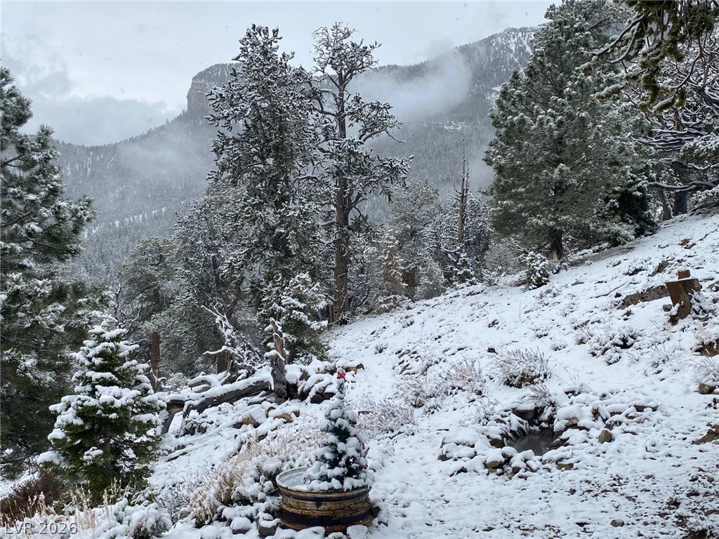 APN 128-07-301-035 Cougar Ridge, Mount Charleston, NV 89124