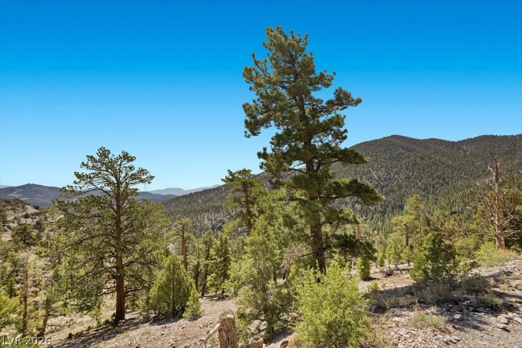 APN 128-07-301-035 Cougar Ridge, Mount Charleston, NV 89124