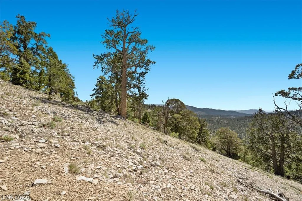 APN 128-07-301-035 Cougar Ridge, Mount Charleston, NV 89124