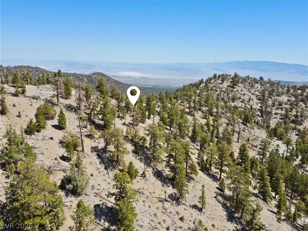 APN 128-07-301-035 Cougar Ridge, Mount Charleston, NV 89124