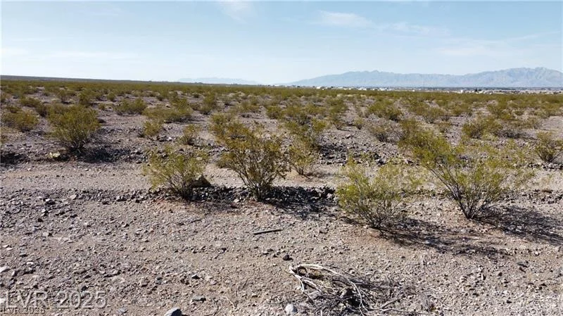 1331 Saguaro, Pahrump, NV 89060