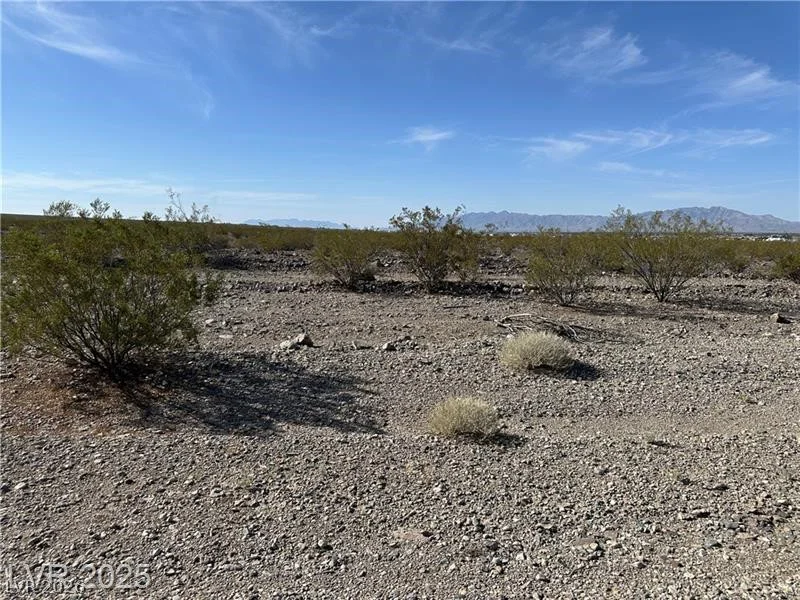 1331 Saguaro, Pahrump, NV 89060