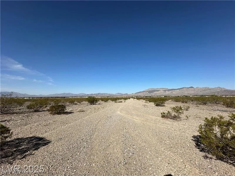1331 Saguaro, Pahrump, NV 89060