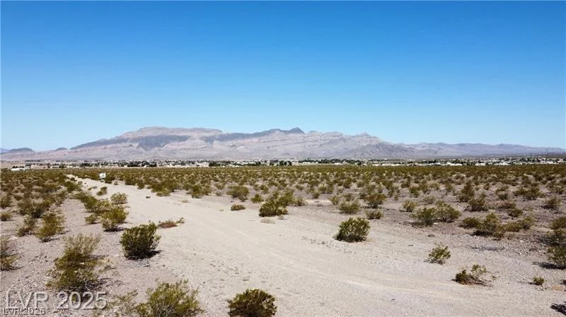 1331 Saguaro, Pahrump, NV 89060