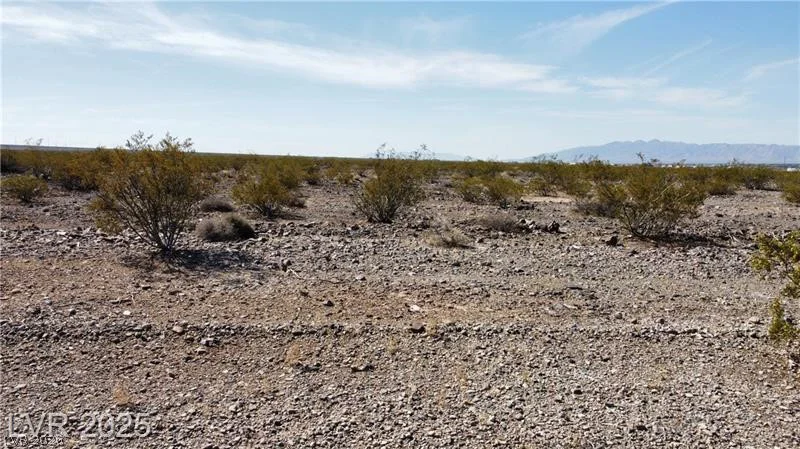 1501 Saguaro, Pahrump, NV 89060