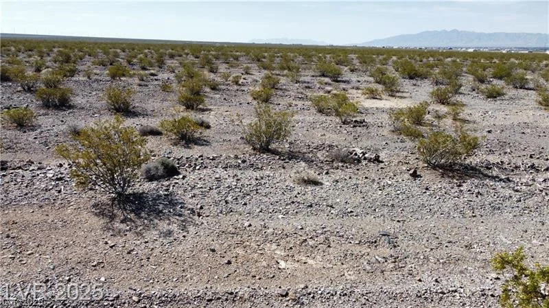 1501 Saguaro, Pahrump, NV 89060