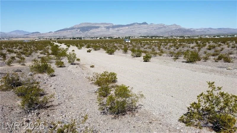 1501 Saguaro, Pahrump, NV 89060