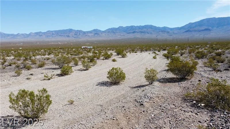 1501 Saguaro, Pahrump, NV 89060