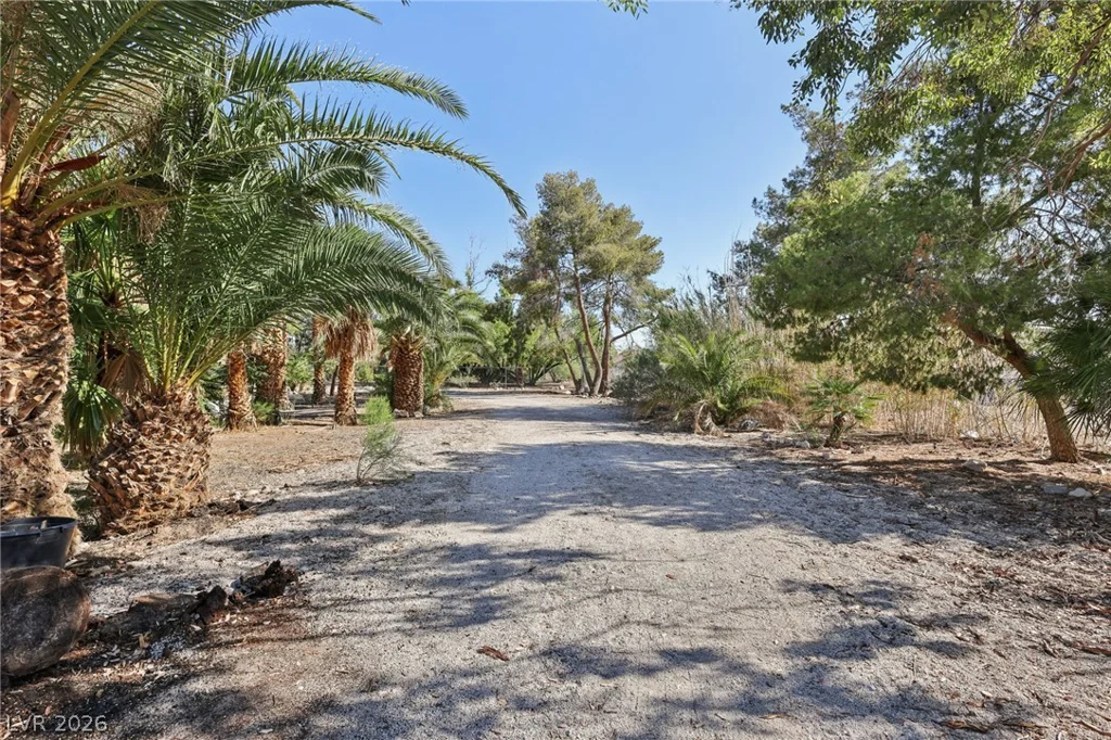55 Siddall, Las Vegas, NV 89183