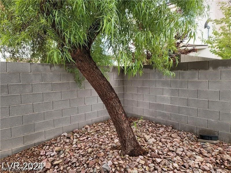 7667 Borealis, Las Vegas, NV 89123