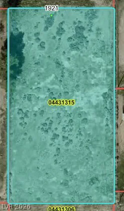 1921 Dollar, Pahrump, NV 89048