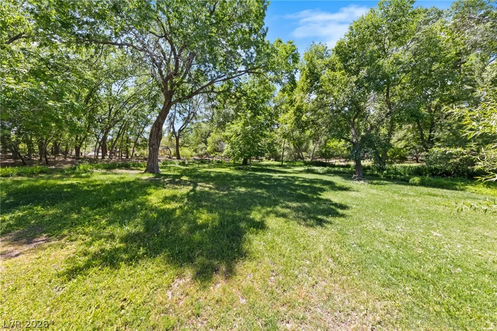 59 Arroyo, Blue Diamond, NV 89004