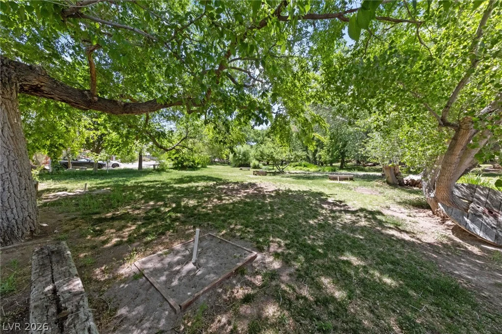 59 Arroyo, Blue Diamond, NV 89004