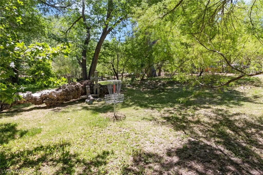 59 Arroyo, Blue Diamond, NV 89004