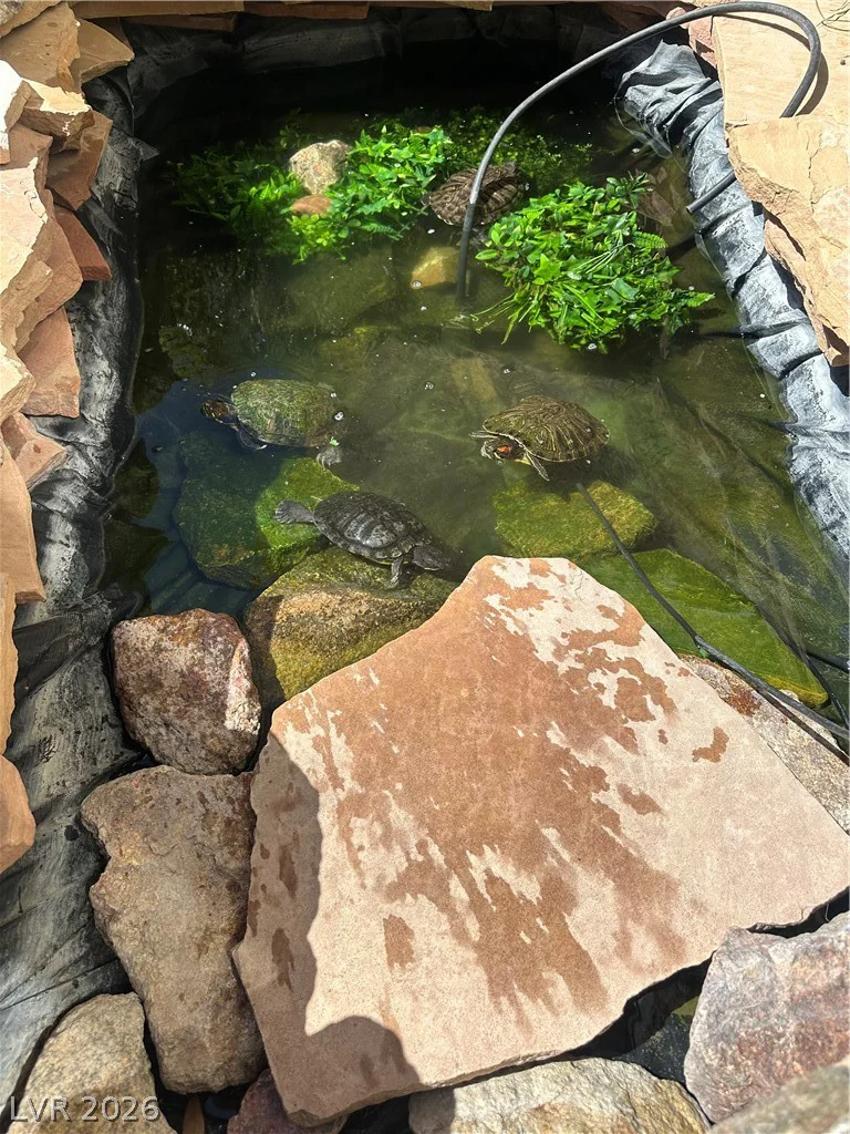 947 Armandito, Las Vegas, NV 89138