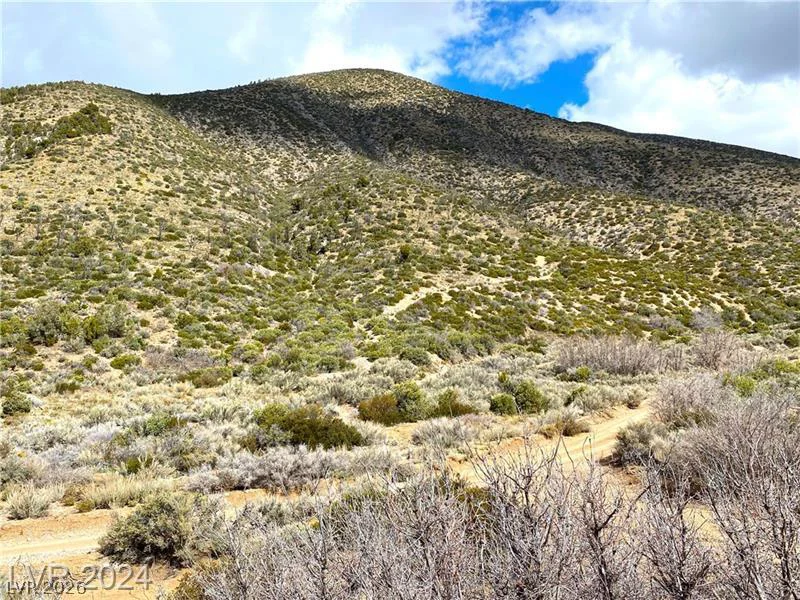 Lovell Summit-Coal Springs-Lot 4, Other, NV 89124