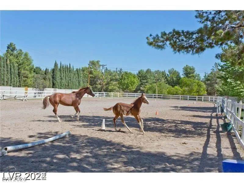7192 Ranchito, Las Vegas, NV 89120