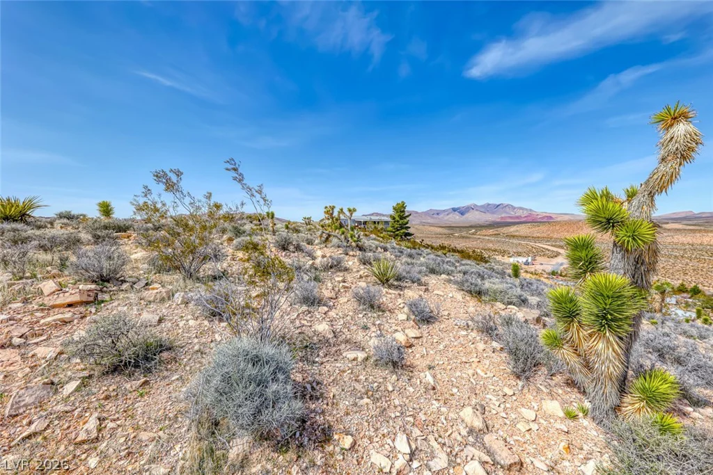 Beacon Street, Goodsprings, NV 89019