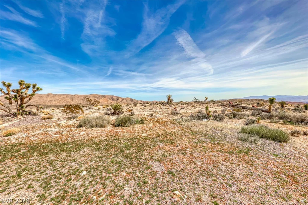 Beacon Street, Goodsprings, NV 89019