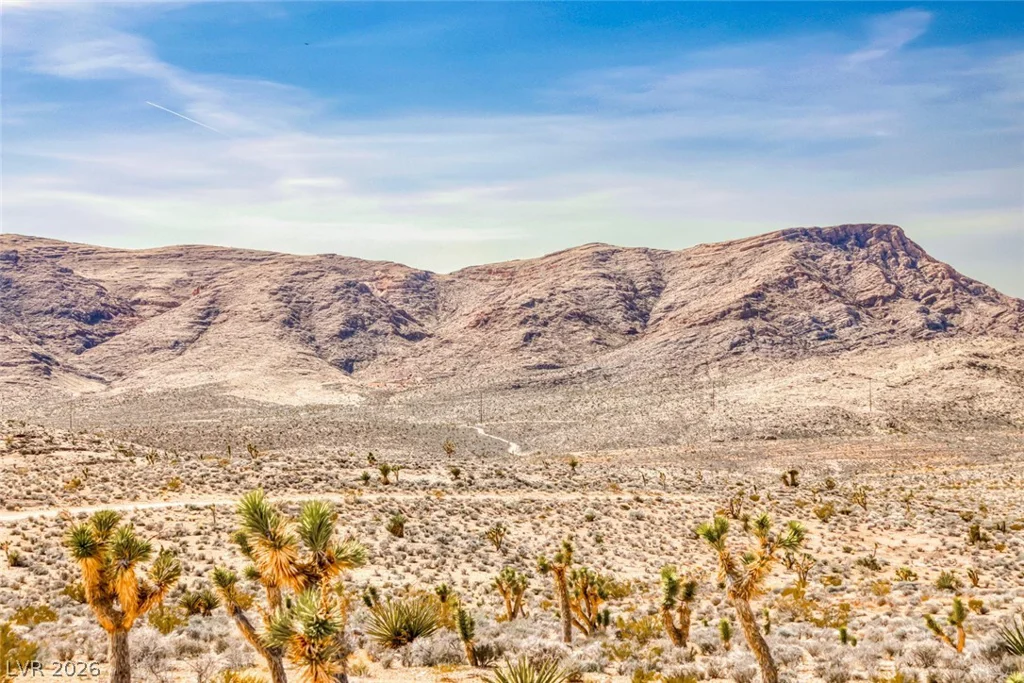 Beacon Street, Goodsprings, NV 89019