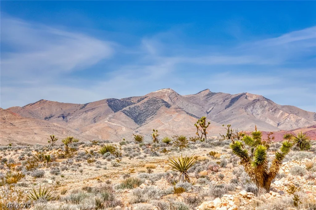 Beacon Street, Goodsprings, NV 89019