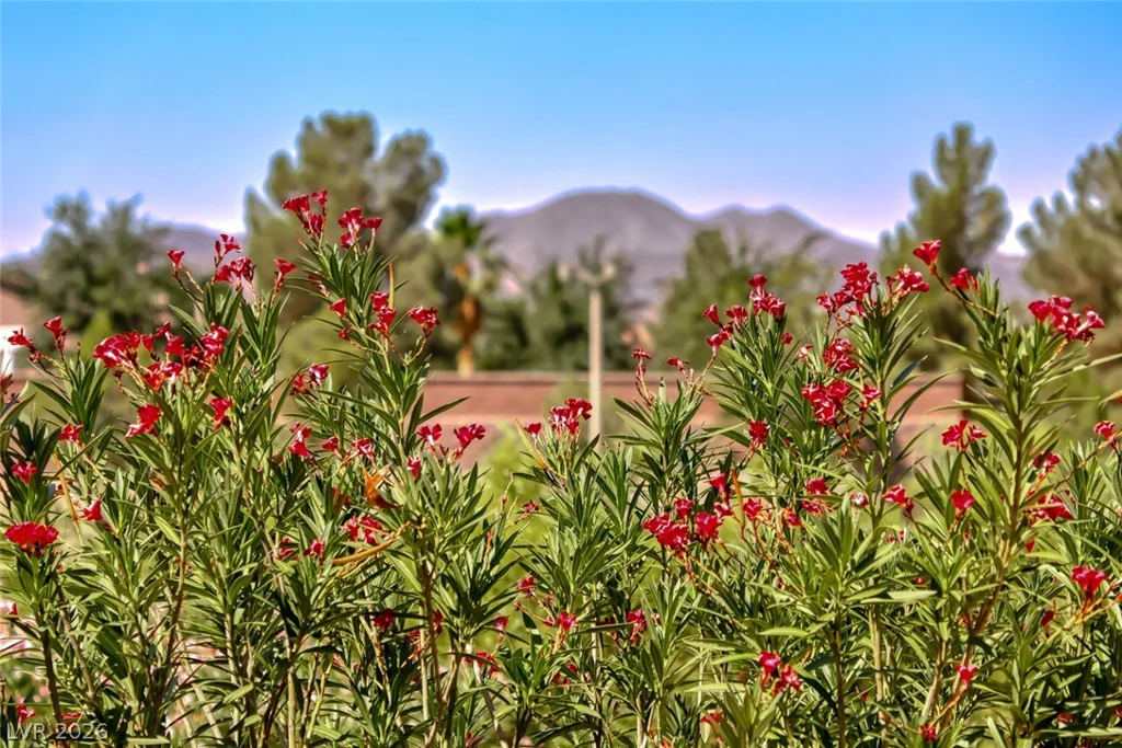 2343 Schaeffer Hills, Henderson, NV 89052