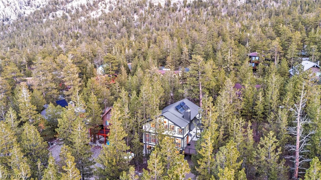 2162 Via Spes Nostra, Mount Charleston, NV 89124