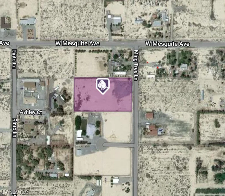 1940 Ming Tree, Pahrump, NV 89060