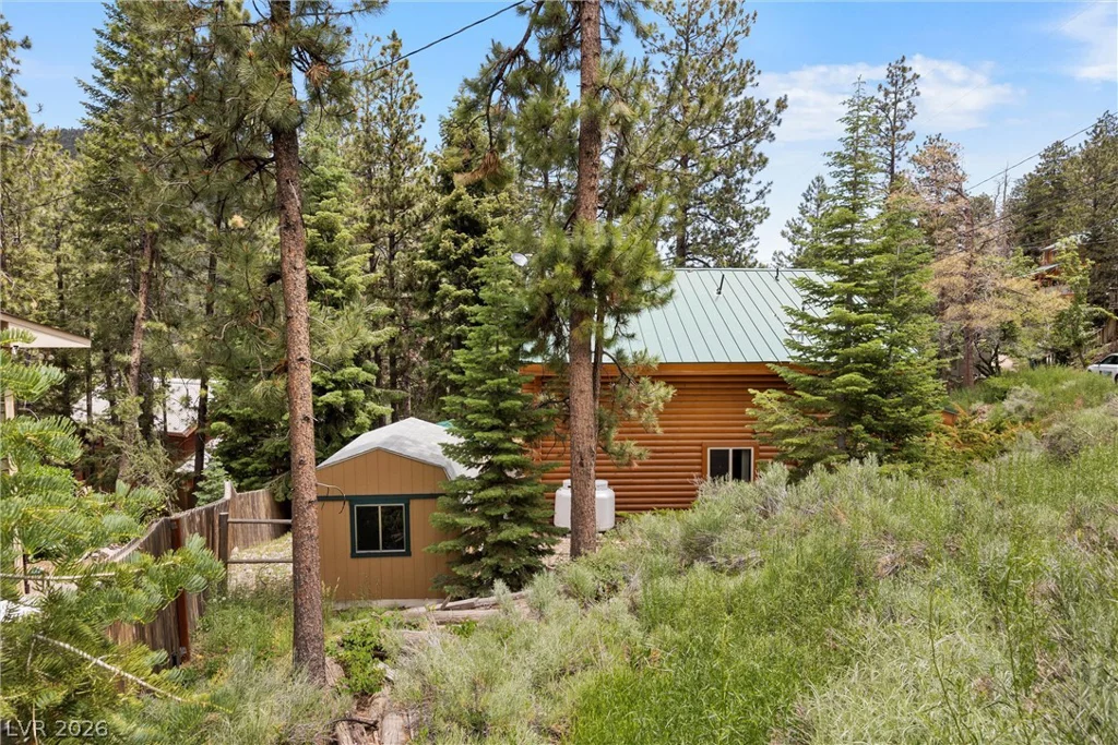401 Alpine, Mount Charleston, NV 89124
