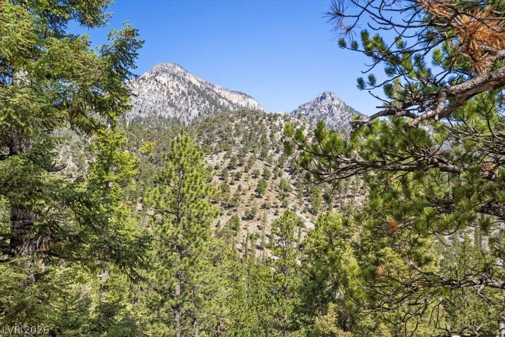 2169 Via Spes Nostra, Mount Charleston, NV 89124