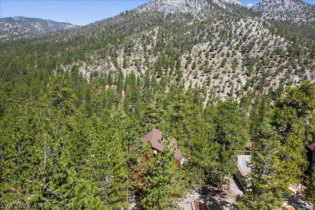 2169 Via Spes Nostra, Mount Charleston, NV 89124