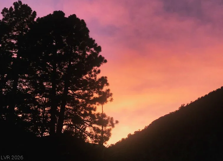 4095 Tyrol, Mount Charleston, NV 89124