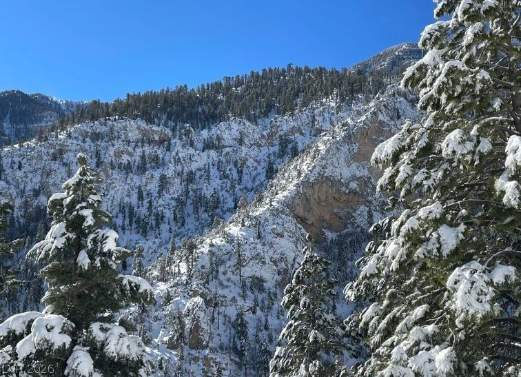 4095 Tyrol, Mount Charleston, NV 89124