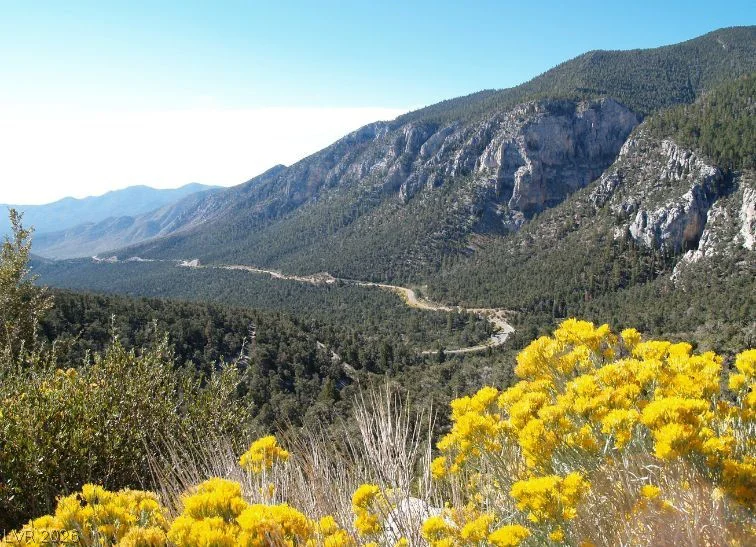4095 Tyrol, Mount Charleston, NV 89124
